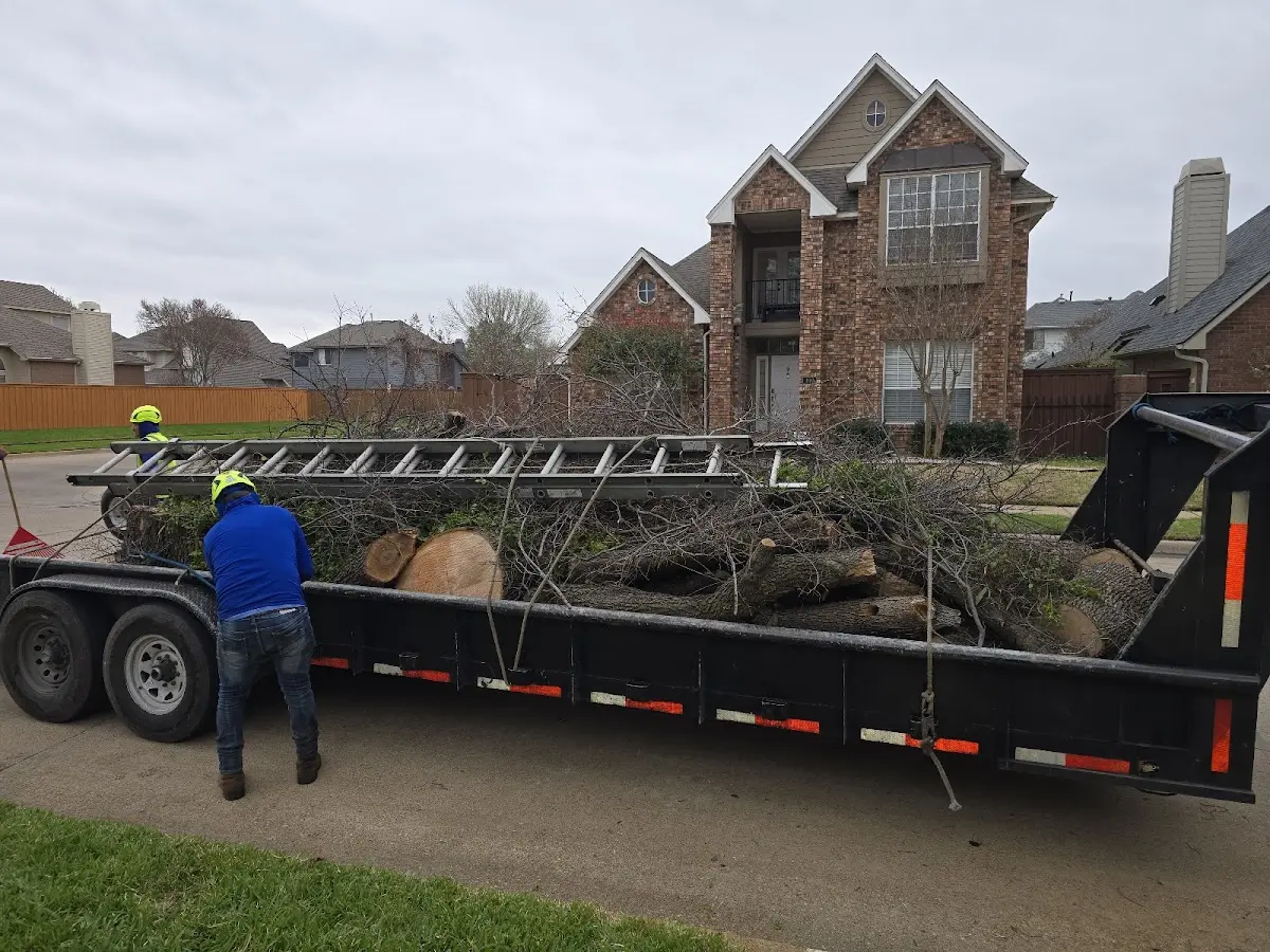 Expert Tree Pest Control with proper safety equipment in Birchleaf
